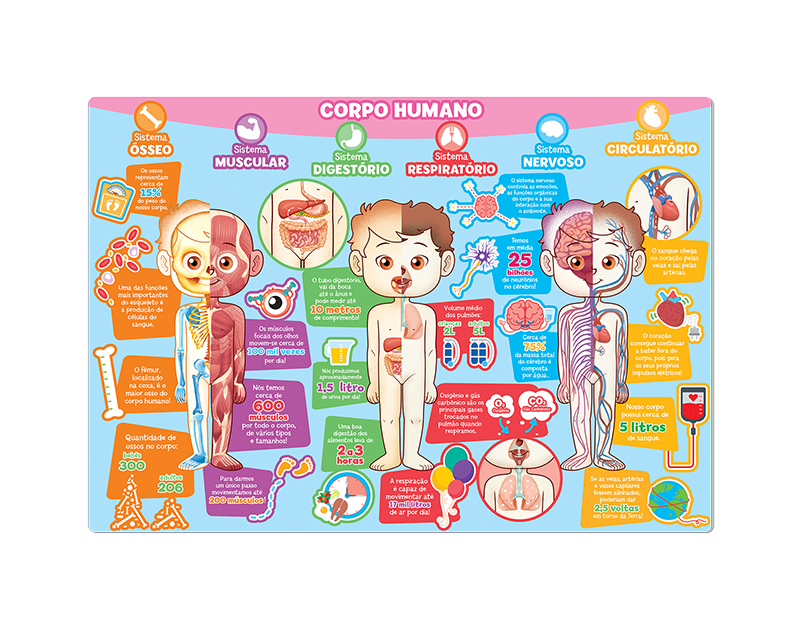 Jogos corpo humano infantil