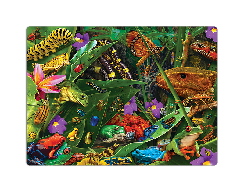 Natureza Estranha - Animais Bizarros - Quebra-cabeça - 500 peças - Toyster  Brinquedos - Toyster